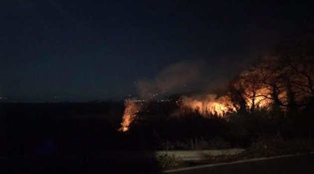 «Άρπαξε» φωτιά στα Αμπάρια Παναιτωλίου – Κάηκαν καλάμια και θάμνοι (Photos)