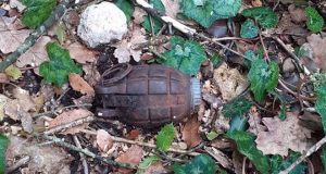 Εντοπίστηκε χειροβομβίδα στο βελανιδοδάσος Ξηρομέρου (Photos)