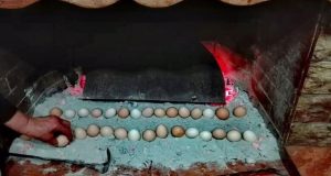 Αυγά στη Χόβολη: Διαδεδομένο το έθιμο και στο Αγρίνιο