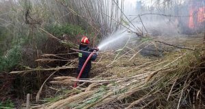 Κυψέλη: Φωτιά σε καλάμια κινητοποίησε την Πυροσβεστική Υπηρεσία Αγρινίου