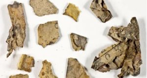 Πάπυρο ηλικίας 2.000 ετών με Ελληνικά κείμενα ανακάλυψαν στο Ισραήλ…