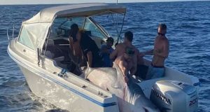 Σίδνεϊ: Ψαράδες έπιασαν στα δίχτυα τους έναν καρχαρία 394,5 κιλών…