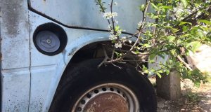 Παναιτώλιο: Ένα δέντρο κάτω από ένα παλιό αυτοκίνητο (Photo)