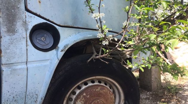 Παναιτώλιο: Ένα δέντρο κάτω από ένα παλιό αυτοκίνητο (Photo)