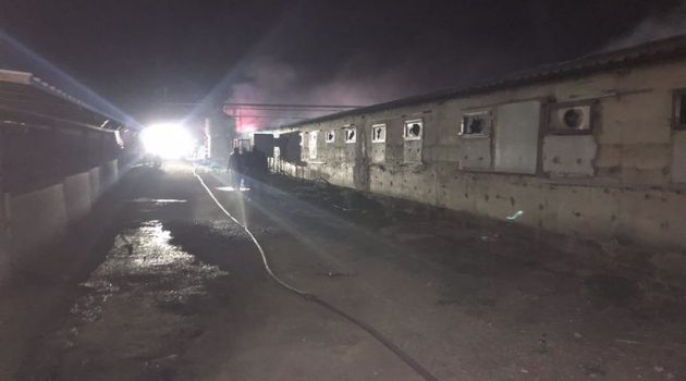Μ. Χώρα Αγρινίου: Πυρκαγιά σε εγκαταστάσεις χοιροστασίου