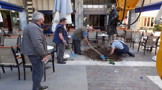 Ο Δήμος Αγρινίου αντικατέστησε τα δέντρα που είχαν καταστραφεί (Photos)
