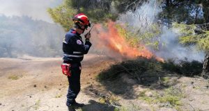 H Ε.Ο.Ε.Δ. Ι.Π. Μεσολογγίου στη μεγάλη πυρκαγιά της Κορινθίας (Photos)
