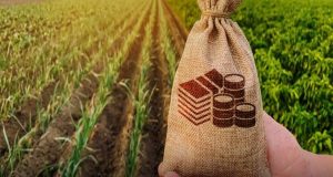 Ταμείο Εγγυήσεων Αγροτικής Ανάπτυξης: Τί είναι και πώς θα ωφεληθείτε