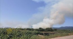Μεσολόγγι: Πυρκαγιά σε αγροτική έκταση κοντά στο Τ.Ε.Ι.