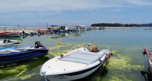 Βόνιτσα: Εθελοντικός καθαρισμός στα Λιμάνια (Photos)