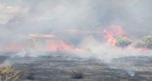 Φωτιά στον Γαλατά Ναυπακτίας κινητοποίησε την Πυροσβεστική (Photos)