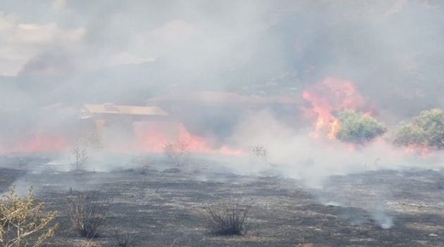 Φωτιά στον Γαλατά Ναυπακτίας κινητοποίησε την Πυροσβεστική (Photos)