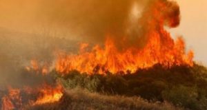 Πάτρα: Φωτιά σε δασική έκταση στην περιοχή Κάτω Μαυρίκι Αιγιαλείας