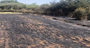 Λήξη συναγερμού στην Κατούνα – Υπό έλεγχο η φωτιά (Photos)