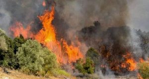 Πυρκαγιά στη Χίο – Εκκενώθηκε οικισμός