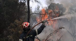 Ξηρόμερο: Η φωτιά στον Άγιο Στέφανο έκαψε ενάμιση στρέμμα χορτολιβαδικής…