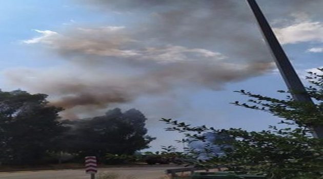 Μικρής έκτασης πυρκαγιά εκδηλώθηκε στα φανάρια της Αγριλιάς (Photos)