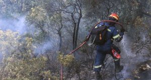 Στις φλόγες το Καλέντζι Κορινθίας – Μεγάλη κινητοποίηση της Πυροσβεστικής