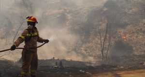 Πολιτική Προστασία: Υψηλός κίνδυνος πυρκαγιάς στη Δυτική Ελλάδα την Κυριακή