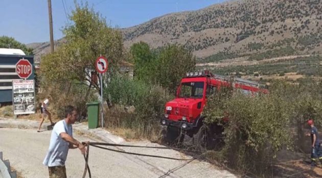 Αμφιλοχία: Άμεση επέμβαση της Πυροσβεστικής Υπηρεσίας για φωτιά στη Στάνο (Photos)
