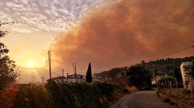 Δωρίδα: Και 2η εστία κοντά στο χωριό Ελαία – Κάηκαν σπίτια (Video)