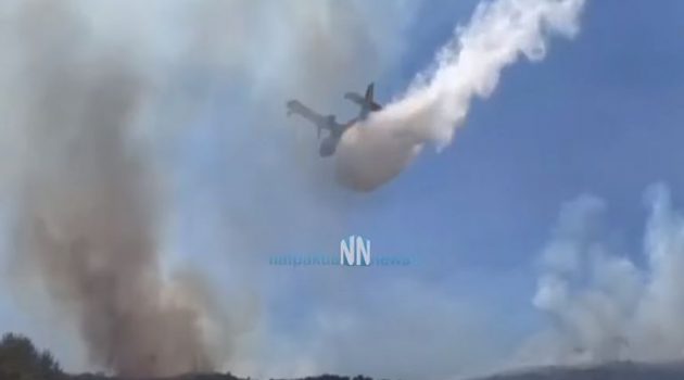 Πυρκαγιά Φωκίδα: Επιχειρούν εναέρια – Συνεχίζεται η μάχη με τις φλόγες (Video)