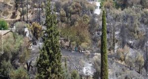 Ζήρια Αχαΐας: Έπιασαν τον υπαίτιο για την πυρκαγιά