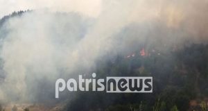 Φωτιά στην Ηλεία: Φουντώνουν ξανά οι φλόγες – Απειλούν να…