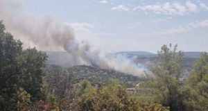 Μεγάλη φωτιά στο Θεολόγο Μαλεσίνας – Εκκενώνεται οικισμός (Video)