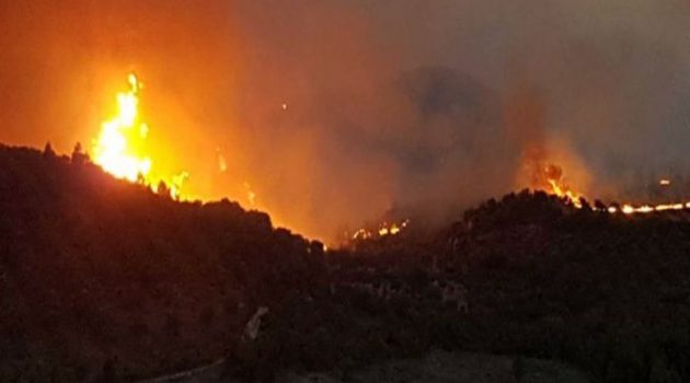 Φωτιά στην Κερατέα: Πέταξαν φωτοβολίδες στο δάσος και ξέσπασε πυρκαγιά