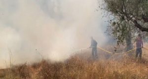 Το απίστευτο «άνοιγμα» της πυρκαγιάς στη φωτιά της Γαβρολίμνης (Videos)