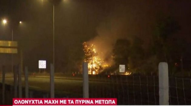 Πέρασε την Εθνική οδό η φωτιά στη Μαλακάσα, κινείται προς Ωρωπό