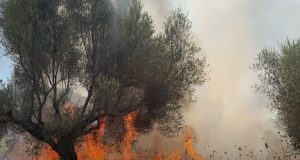 Υπό έλεγχο η πυρκαγιά στη Γαβρολίμνη Ναυπακτίας (Video)