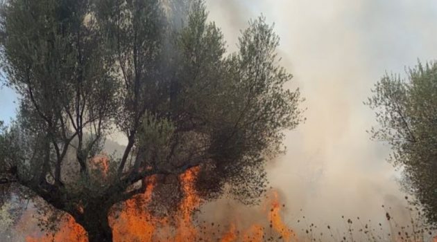 Υπό έλεγχο η πυρκαγιά στη Γαβρολίμνη Ναυπακτίας (Video)