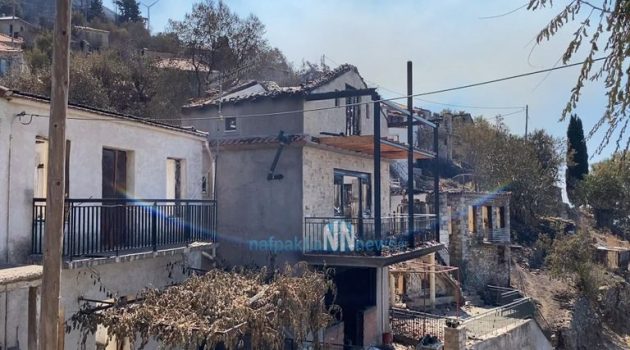 Δωρίδα: Οι φλόγες έκαναν στάχτη το χωριό Καλλιθέα (Video – Photos)