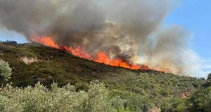 Πυρκαγιά μέρα-μεσημέρι σε Σταμνά και Αστροβίτσα Αιτωλικού (Photos)