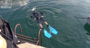 Πραγματοποιήθηκε ο υποβρύχιος καθαρισμός στην παραλία της Αμφιλοχίας (Video)