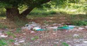 Εθελοντική Δράση Καθαρισμού στη Λίμνη Τριχωνίδα (Photos)