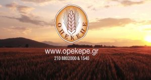 Ο.Π.Ε.Κ.Ε.Π.Ε.: Πληρωμές 94,5 εκατ. ευρώ – Τι ακολουθεί