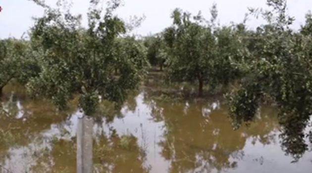 Κραυγή απόγνωσης από τους αγρότες του Νεοχωρίου (Photos – Video)