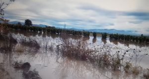 Γέμισαν… λίμνες τα χωράφια στον Πλάτανο (Photos)