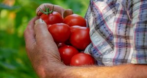 Αγρότες: Νομιμοποίηση του χρόνου ασφάλισης