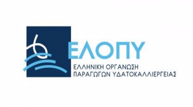Ελληνική Ιχθυοκαλλιέργεια: Πωλήσεις 546 εκ. ευρώ, επενδύσεις, αλλά και προβληματισμός