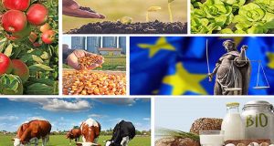 Αυξάνεται σταθερά το εμπόριο αγροδιατροφικών προϊόντων της Ε.Ε.