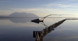 Αλιευτικοί Συνεταιρισμοί Λιμνοθάλασσας Μεσολογγίου: «Έμπρακτο το ενδιαφέρον του Περιφερειάρχη Δ.Ε.»