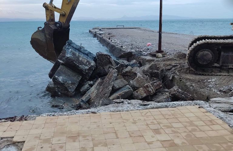 paralia krioneri