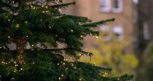 Το Σάββατο η φωταγώγηση του Χριστουγεννιάτικου Δέντρου στο Ευηνοχώρι