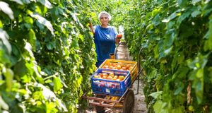 Έκδοση βεβαίωσης Επαγγελματία Αγρότη για το φορολογικό έτος 2020