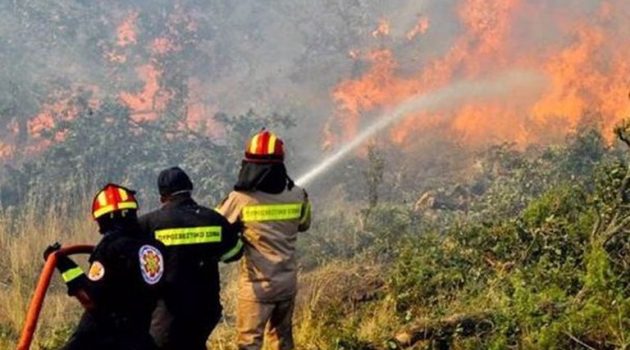 Φωτιά στην Κρήτη με δυνατό αέρα – Συναγερμός στην Πυροσβεστική