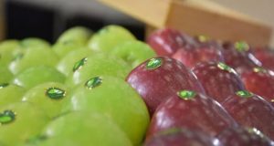 Το Επιμελητήριο Αιτωλοακαρνανίας στην Έκθεση Φρούτων & Λαχανικών «FRESCON 2022»